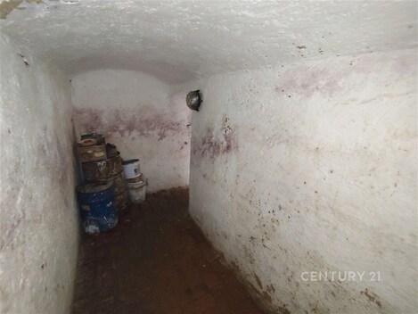 foto04_11472420_1iwibk.jpg