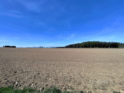 foto04_11491341_1cxhw.jpg