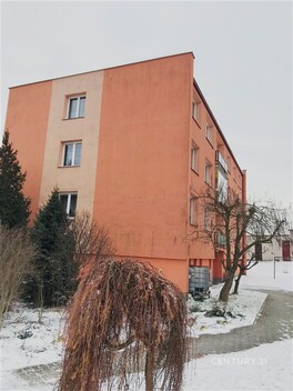 foto04_11526793_gqf9o.jpg