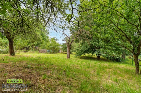 foto05_11513872_1ock4.jpg