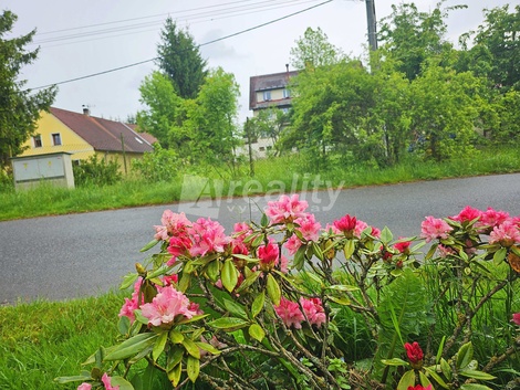 foto05_10946976_cn1k.jpg