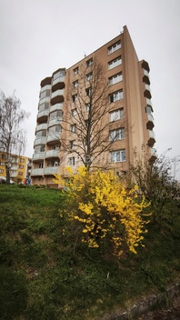 foto05_11485504_9esl0.jpg