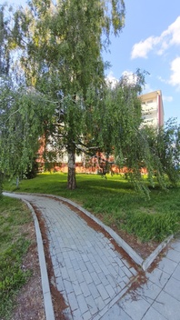 foto05_11501115_8v7ji.jpg