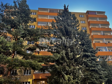 foto05_11537553_6cdvo.jpg