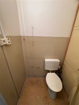 foto04_11489161_qxjh0.jpg