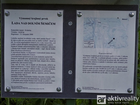 foto05_11354643_68br2.jpg