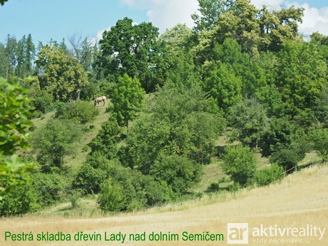 foto05_11354643_9ebfu.jpg