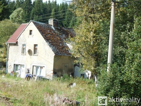 foto05_11380705_9dvus.jpg