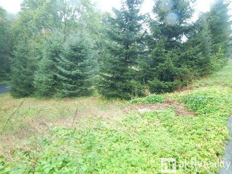foto05_11471834_2rcii.jpg