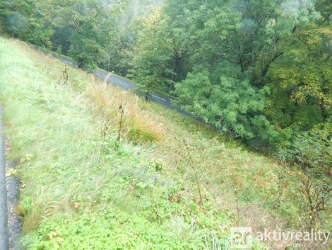 foto05_11471834_7jf64.jpg