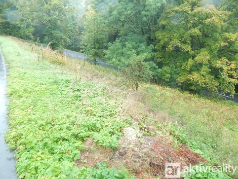 foto05_11471834_7oqr8.jpg