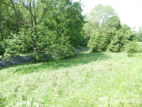 foto05_11471834_vh8i.jpg