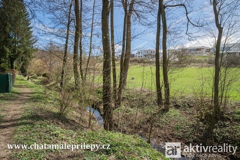 foto05_11525142_2761g.jpg