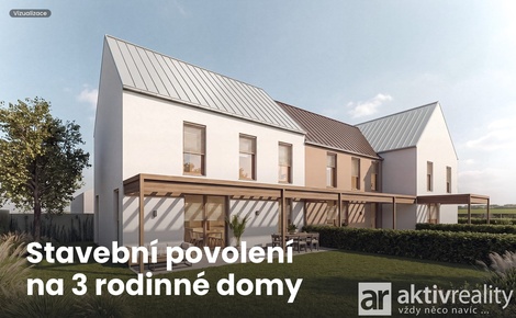 foto05_11543729_911ds.jpg