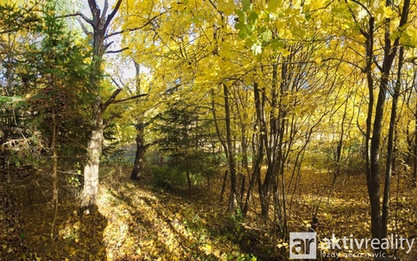 foto05_11551651_sqr8.jpg