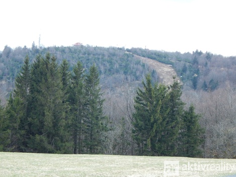 foto05_11559435_3ujq4.jpg