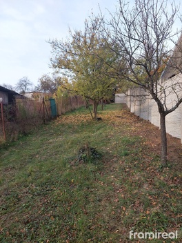 foto05_11489196_14qro.jpg