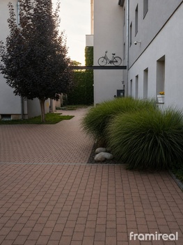 foto05_11512072_94qls.jpg