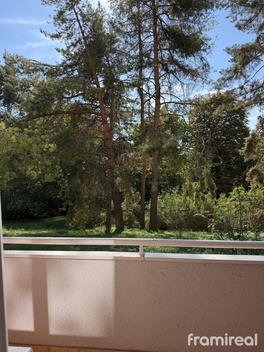foto05_11567401_3firq.jpg