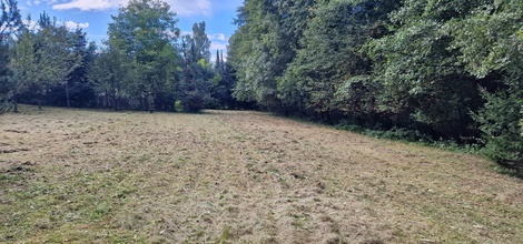 foto05_11326683_61lri.jpg
