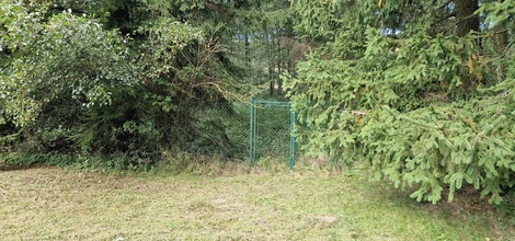 foto05_11326683_ktpe.jpg