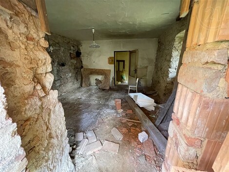 foto04_11191316_zennk.jpg
