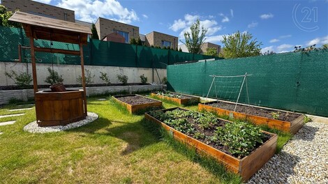 foto04_11329479_hw3cg.jpg