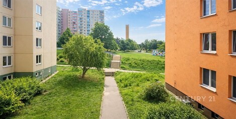 foto04_11438347_oeqn8.jpg