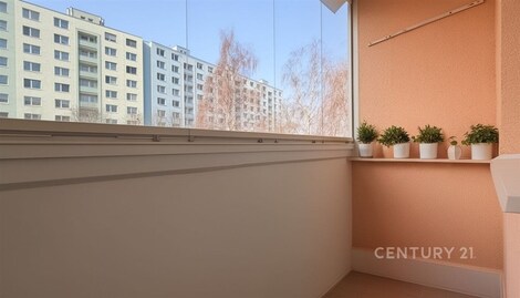 foto04_11471638_ynsu0.jpg