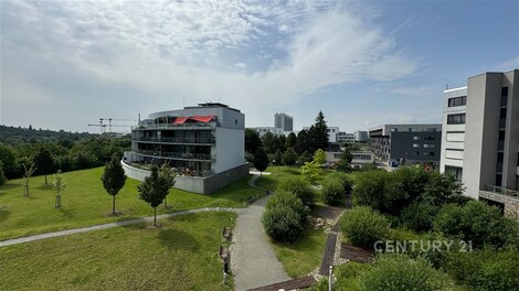 foto04_11479125_1my80.jpg