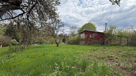 foto04_11485672_gvat4.jpg