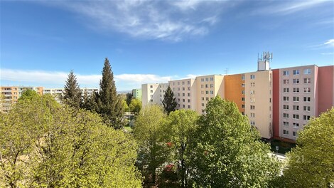 foto04_11490538_1jgf54.jpg