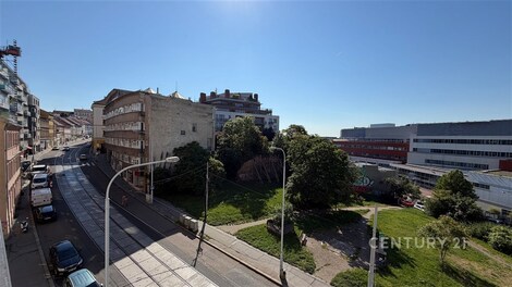 foto04_11498178_1fcuy8.jpg