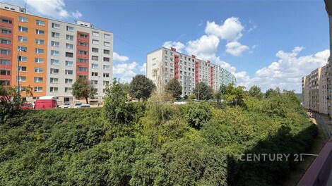foto04_11524936_24tcs.jpg
