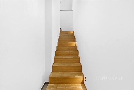 foto04_11539857_cxdh0.jpg