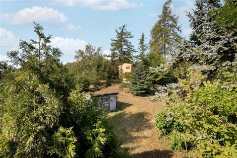 foto04_11546507_hgib8.jpg