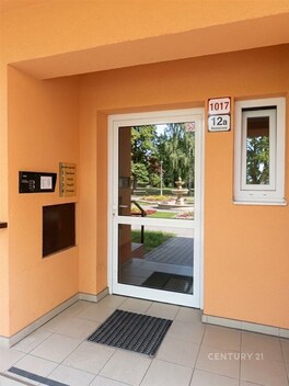 foto04_11554273_tsfhg.jpg