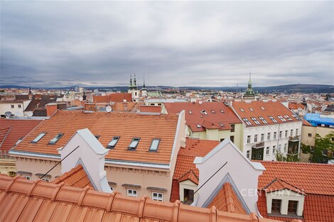 foto04_11557993_uwip0.jpg
