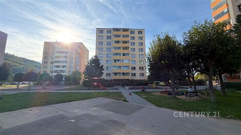 foto04_11562288_3e8jg.jpg