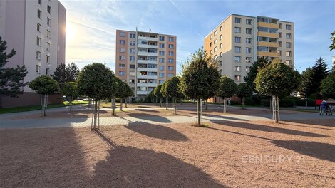foto04_11562288_c7gu0.jpg