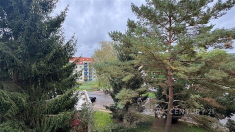 foto04_11569258_1djxls.jpg