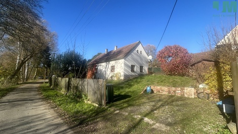 foto05_11347234_48cm.jpg