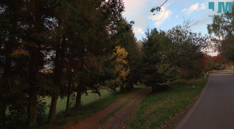 foto05_11496878_492bo.jpg