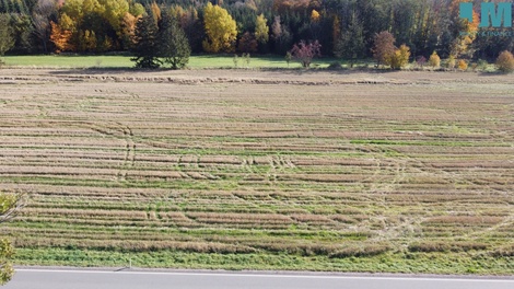 foto05_11546475_m1uu.jpg