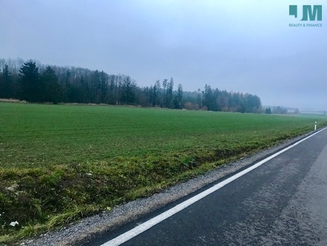 foto05_11556454_14vo0.jpg