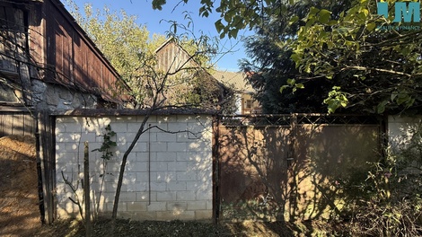 foto05_11567683_7dujq.jpg