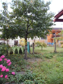 foto07_11351547_37566.jpg