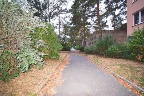 foto05_11539183_8vq5a.jpg