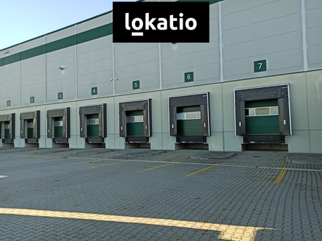 foto05_11362501_3odok.jpg