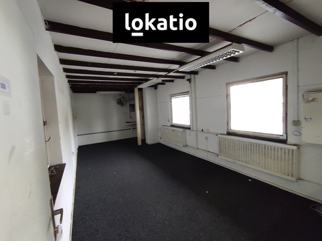 foto05_11366491_33dlo.jpg